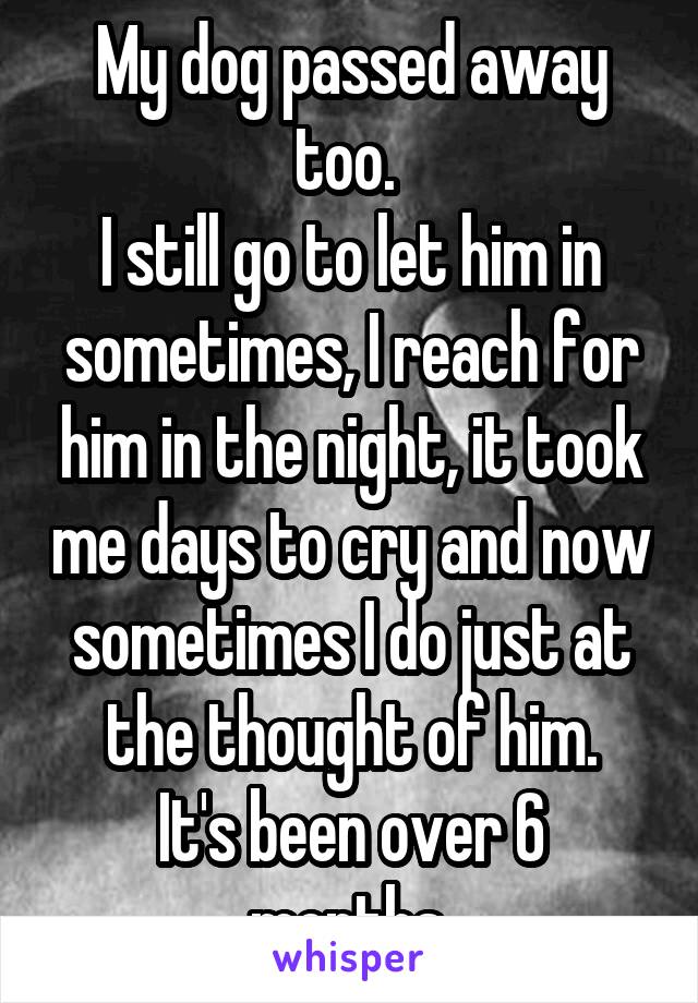 My dog passed away too. 
I still go to let him in sometimes, I reach for him in the night, it took me days to cry and now sometimes I do just at the thought of him.
It's been over 6 months.