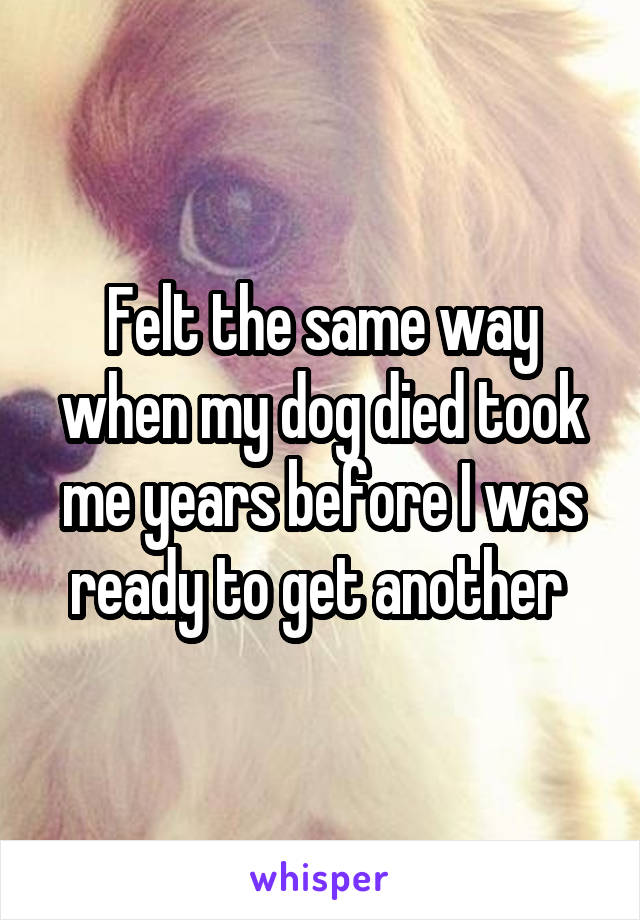 Felt the same way when my dog died took me years before I was ready to get another 