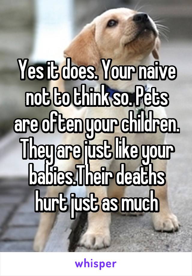 Yes it does. Your naive not to think so. Pets are often your children. They are just like your babies.Their deaths hurt just as much