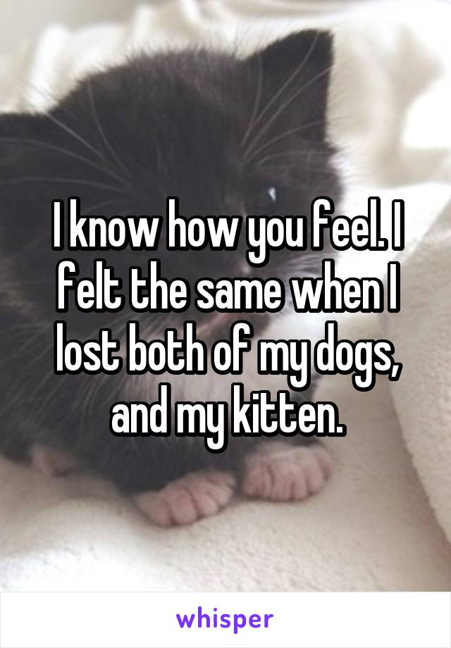 I know how you feel. I felt the same when I lost both of my dogs, and my kitten.