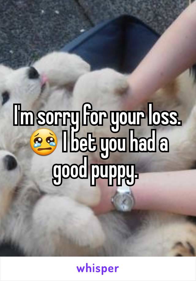 I'm sorry for your loss. 😢 I bet you had a good puppy. 