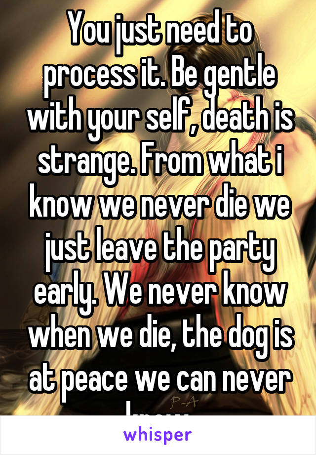 You just need to process it. Be gentle with your self, death is strange. From what i know we never die we just leave the party early. We never know when we die, the dog is at peace we can never know.