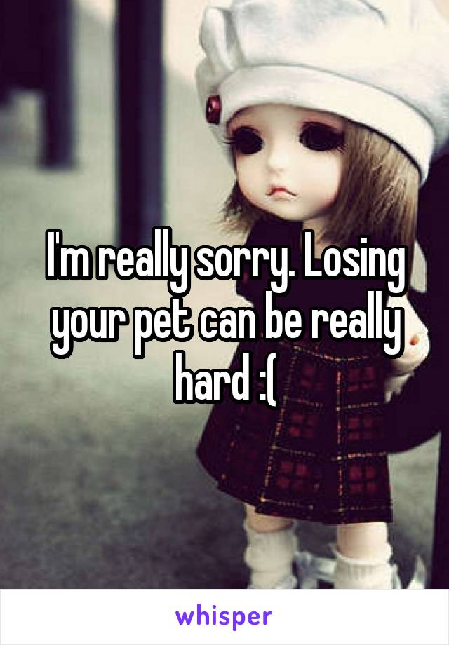 I'm really sorry. Losing your pet can be really hard :(