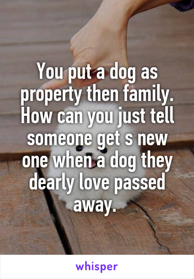 You put a dog as property then family. How can you just tell someone get s new one when a dog they dearly love passed away. 