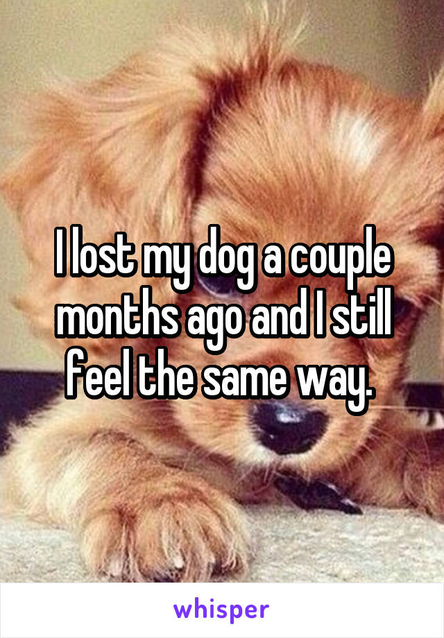 I lost my dog a couple months ago and I still feel the same way. 