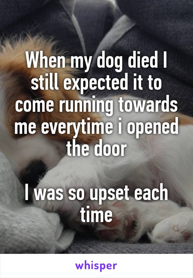 When my dog died I still expected it to come running towards me everytime i opened the door

I was so upset each time