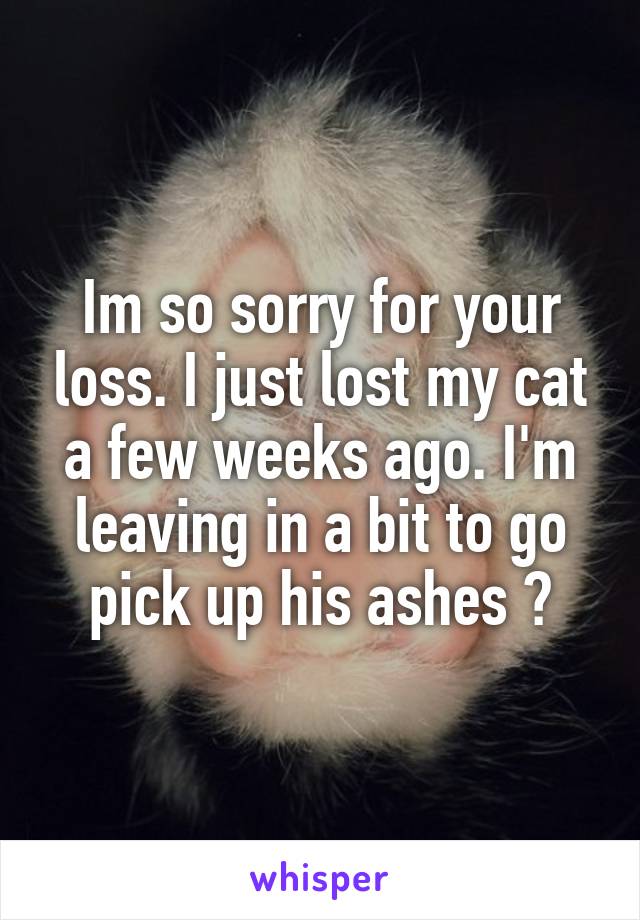 Im so sorry for your loss. I just lost my cat a few weeks ago. I'm leaving in a bit to go pick up his ashes 😢