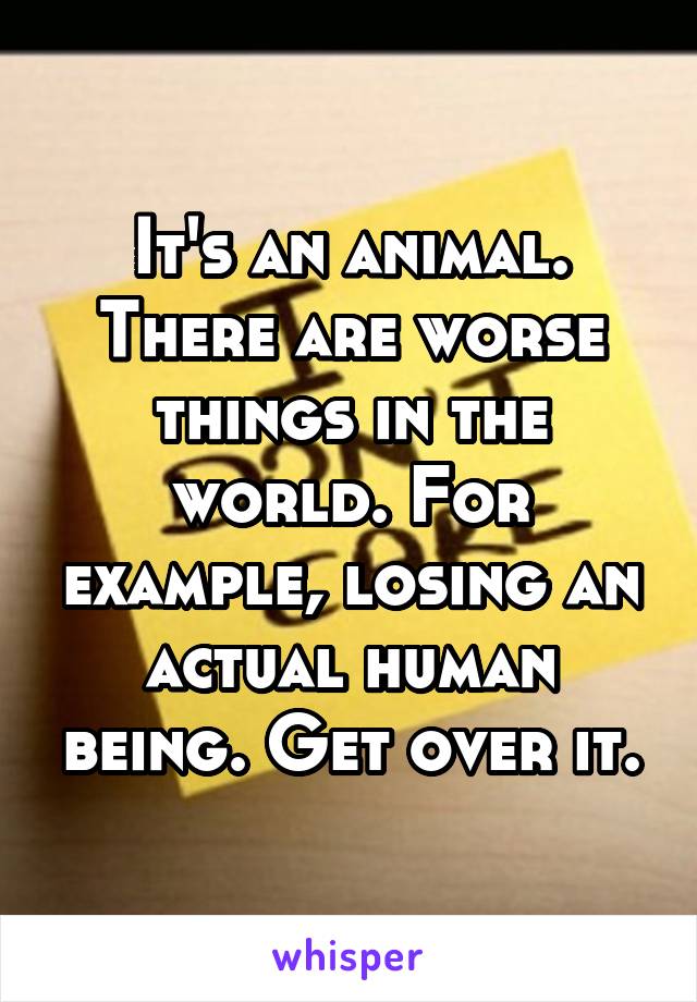 It's an animal. There are worse things in the world. For example, losing an actual human being. Get over it.