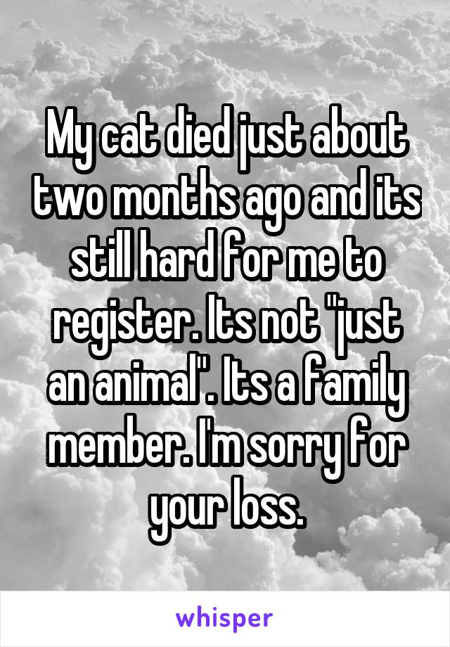 My cat died just about two months ago and its still hard for me to register. Its not "just an animal". Its a family member. I'm sorry for your loss.