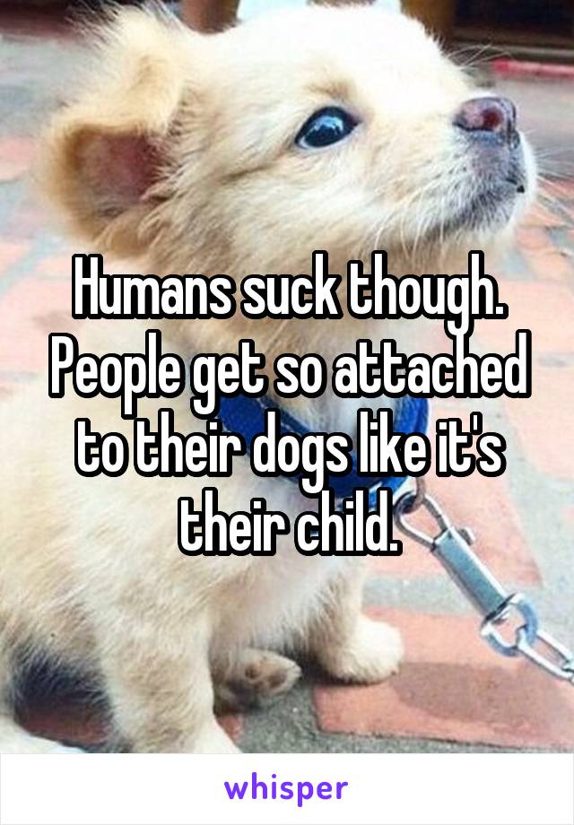 Humans suck though. People get so attached to their dogs like it's their child.