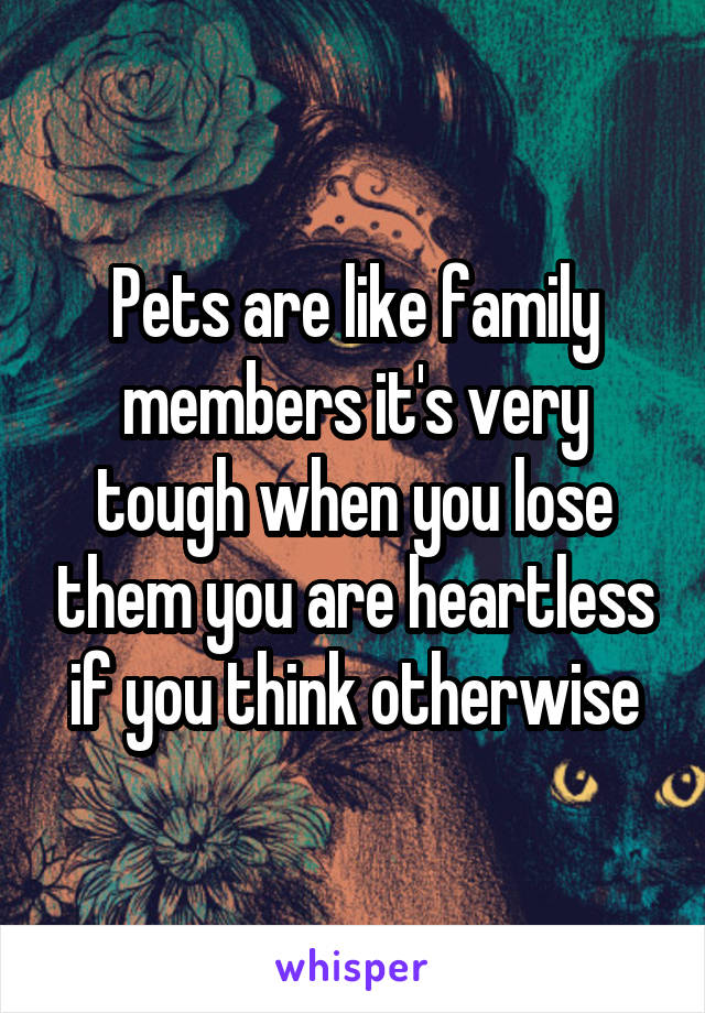 Pets are like family members it's very tough when you lose them you are heartless if you think otherwise