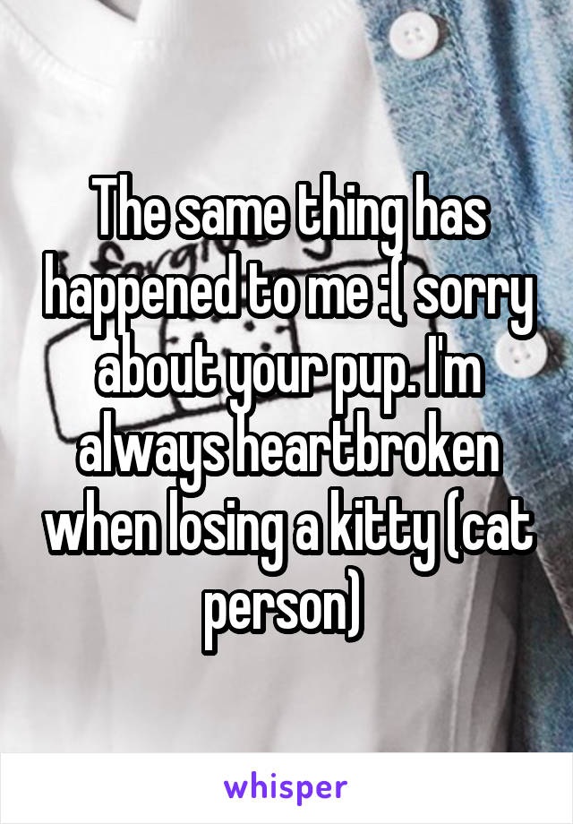 The same thing has happened to me :( sorry about your pup. I'm always heartbroken when losing a kitty (cat person) 