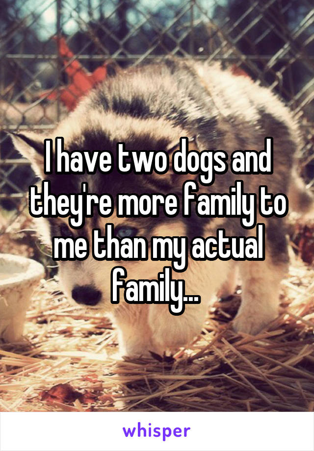 I have two dogs and they're more family to me than my actual family... 