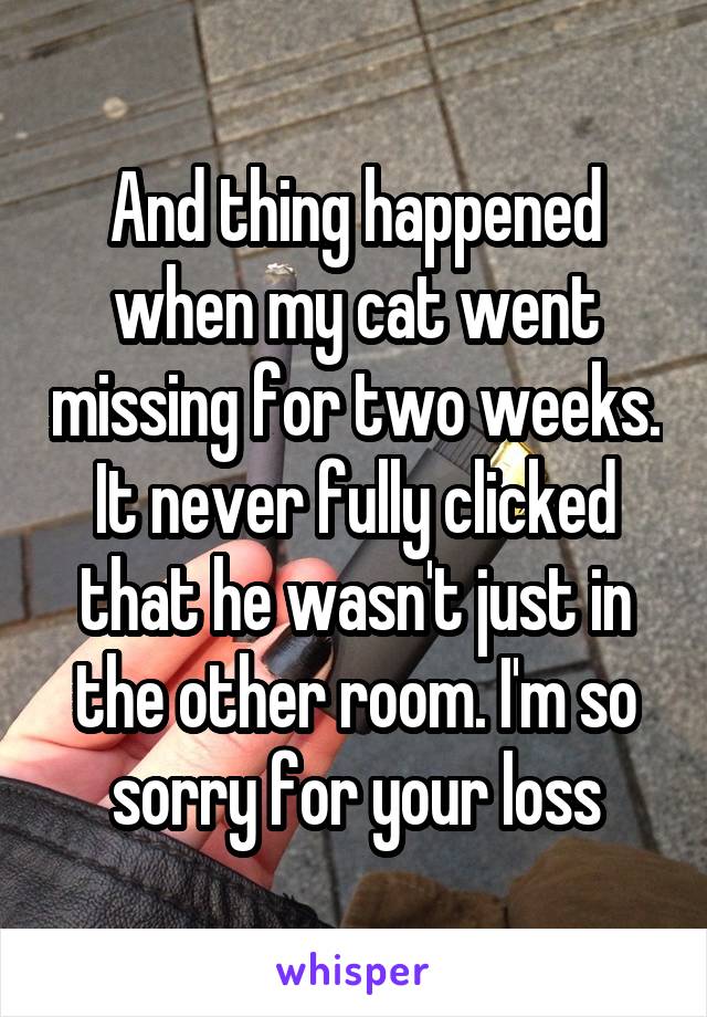 And thing happened when my cat went missing for two weeks. It never fully clicked that he wasn't just in the other room. I'm so sorry for your loss