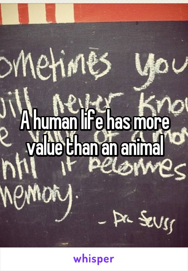  A human life has more value than an animal