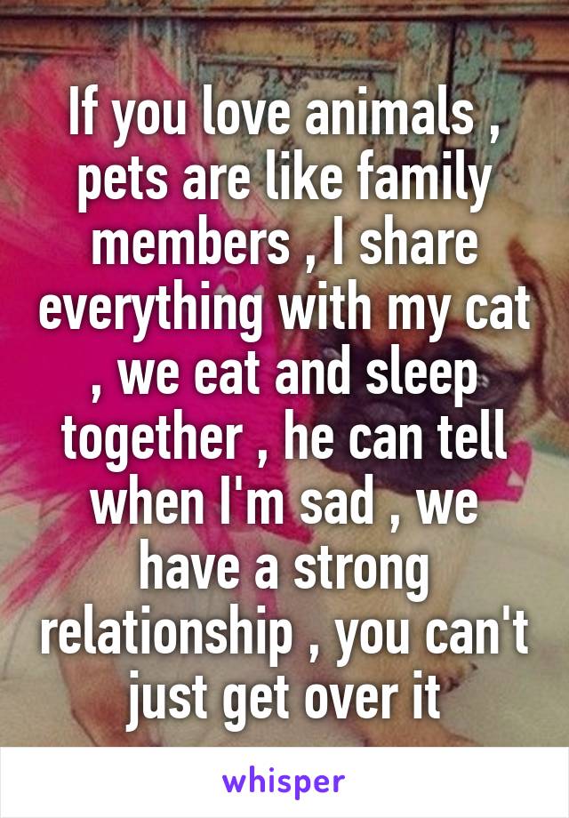 If you love animals , pets are like family members , I share everything with my cat , we eat and sleep together , he can tell when I'm sad , we have a strong relationship , you can't just get over it