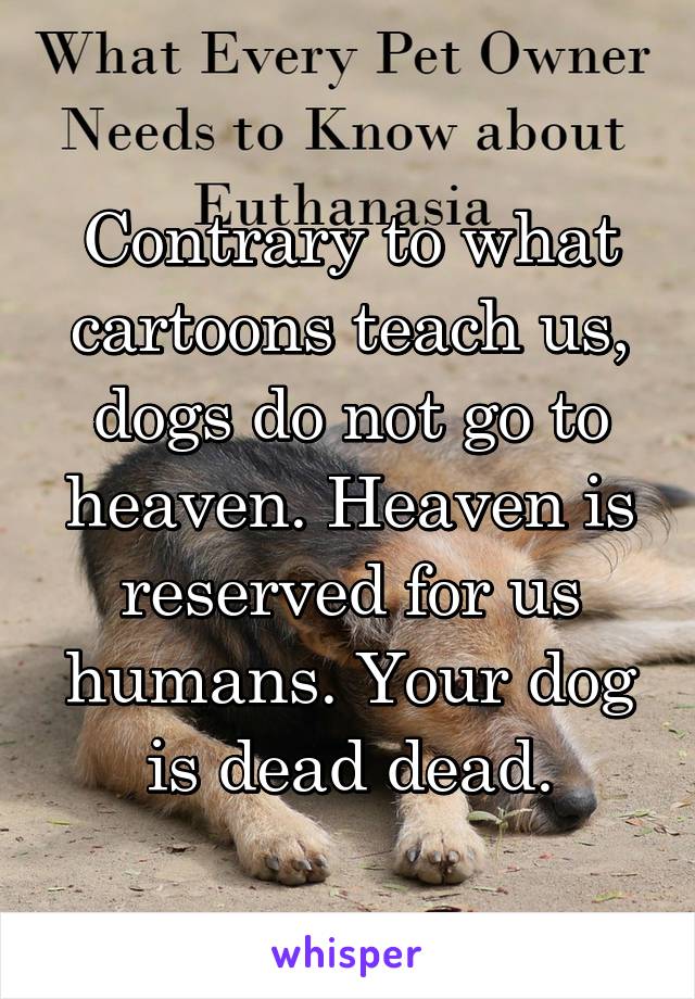 Contrary to what cartoons teach us, dogs do not go to heaven. Heaven is reserved for us humans. Your dog is dead dead.