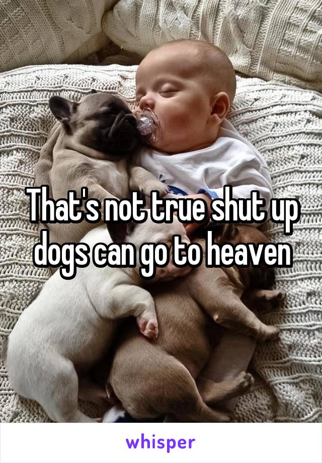 That's not true shut up dogs can go to heaven