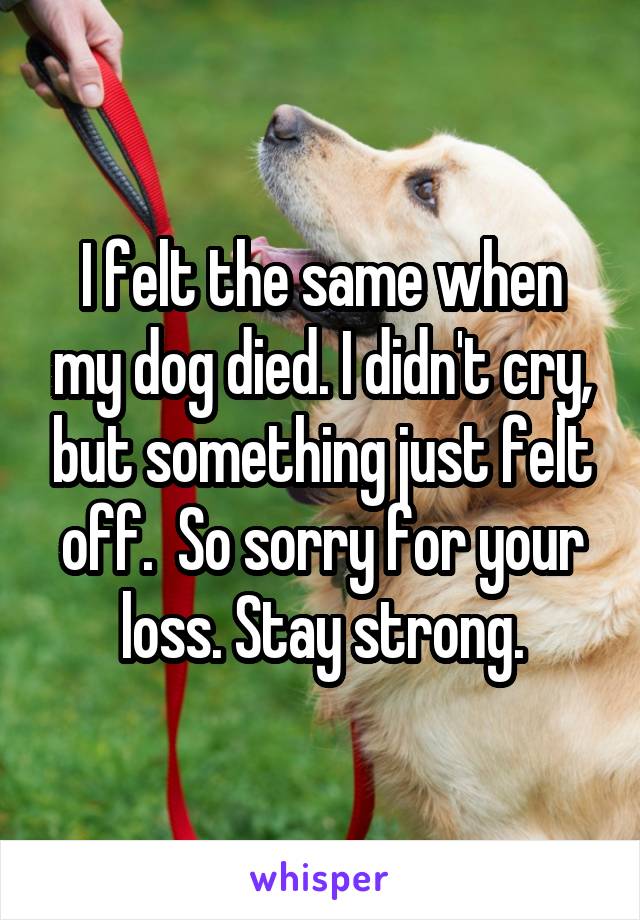 I felt the same when my dog died. I didn't cry, but something just felt off.  So sorry for your loss. Stay strong.