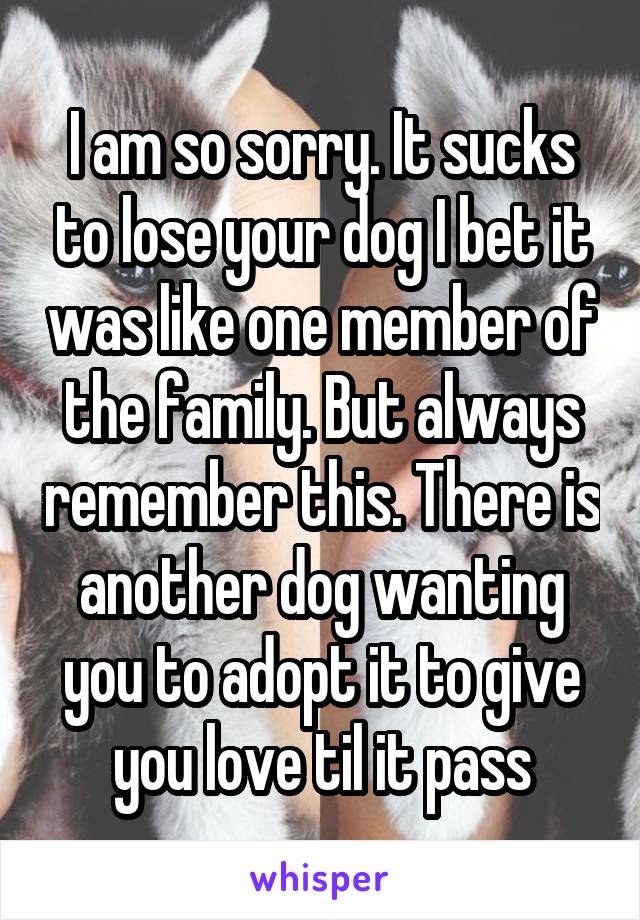 I am so sorry. It sucks to lose your dog I bet it was like one member of the family. But always remember this. There is another dog wanting you to adopt it to give you love til it pass