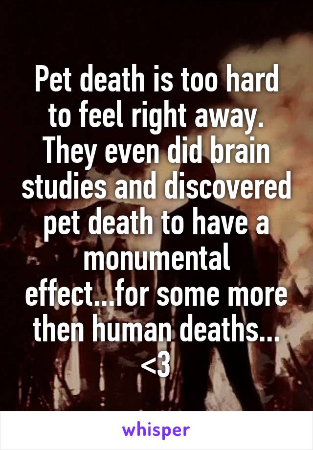 Pet death is too hard to feel right away. They even did brain studies and discovered pet death to have a monumental effect...for some more then human deaths...
<3