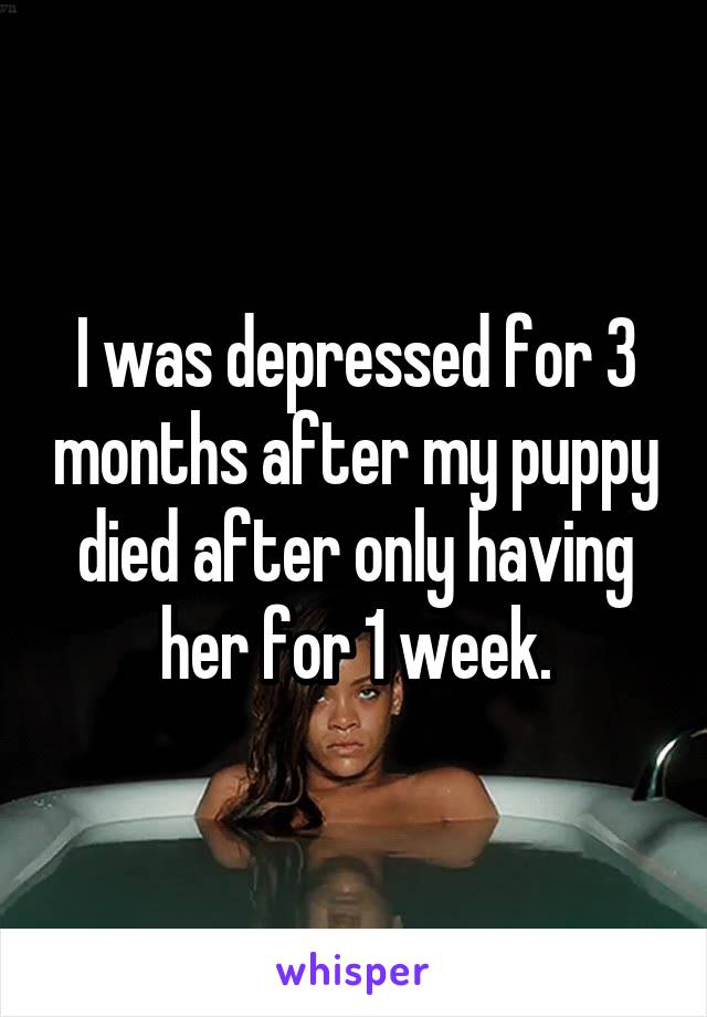 I was depressed for 3 months after my puppy died after only having her for 1 week.