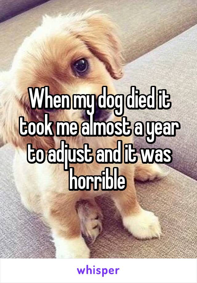 When my dog died it took me almost a year to adjust and it was horrible 