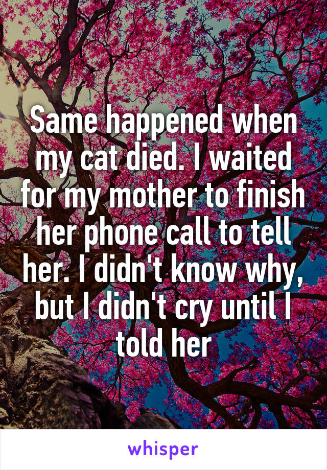 Same happened when my cat died. I waited for my mother to finish her phone call to tell her. I didn't know why, but I didn't cry until I told her