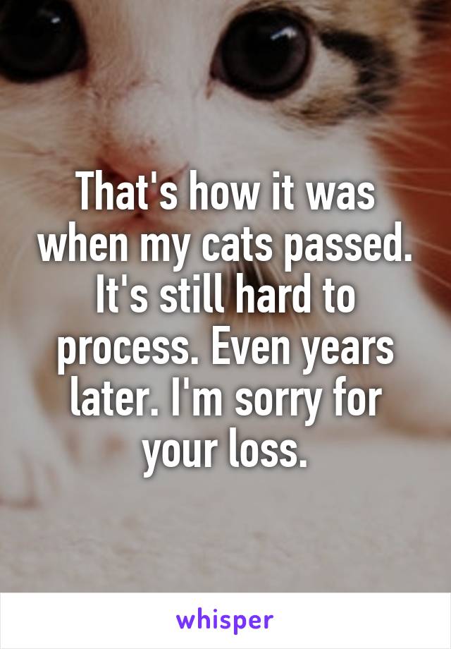 That's how it was when my cats passed. It's still hard to process. Even years later. I'm sorry for your loss.