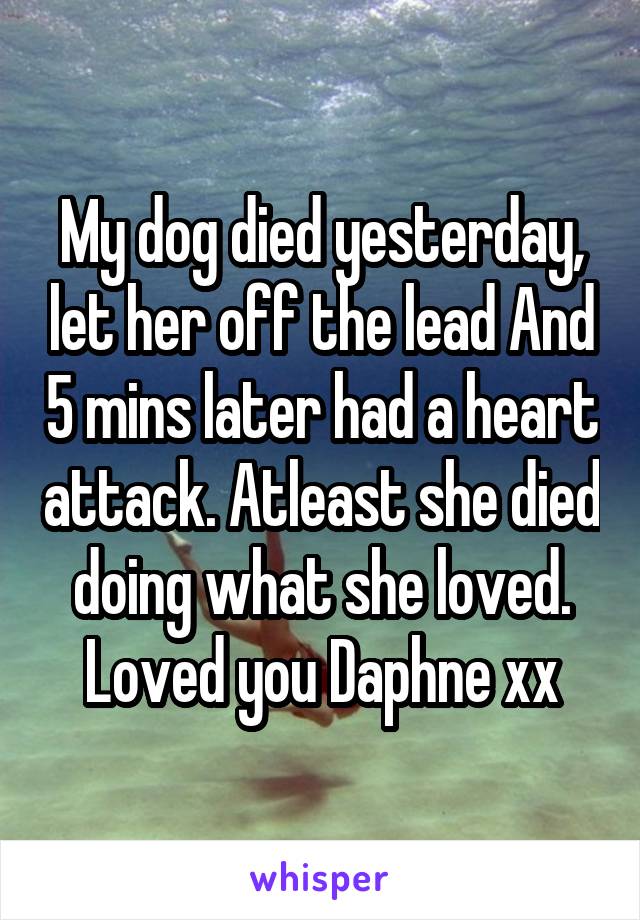 My dog died yesterday, let her off the lead And 5 mins later had a heart attack. Atleast she died doing what she loved. Loved you Daphne xx