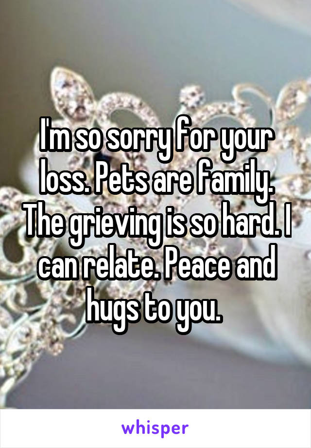 I'm so sorry for your loss. Pets are family. The grieving is so hard. I can relate. Peace and hugs to you. 