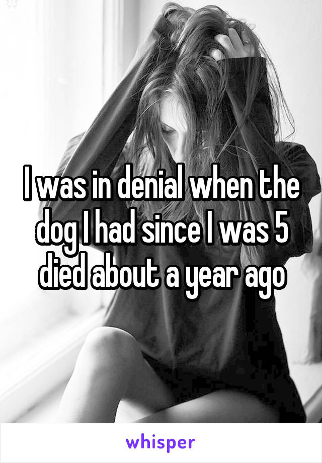 I was in denial when the dog I had since I was 5 died about a year ago