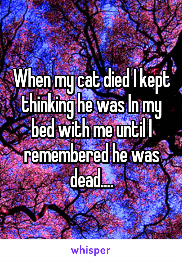 When my cat died I kept thinking he was In my bed with me until I remembered he was dead....