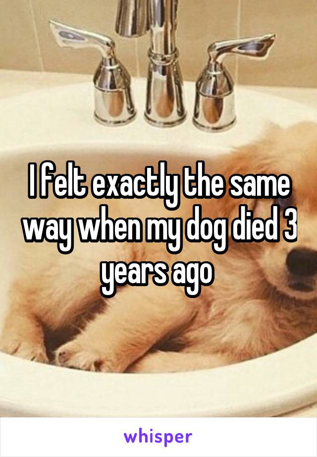 I felt exactly the same way when my dog died 3 years ago 