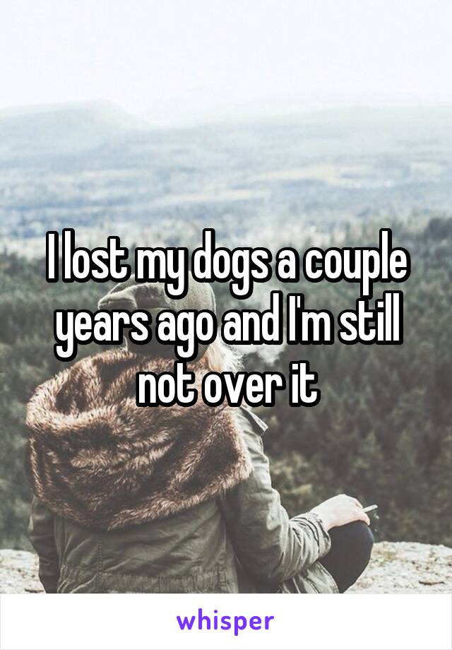 I lost my dogs a couple years ago and I'm still not over it