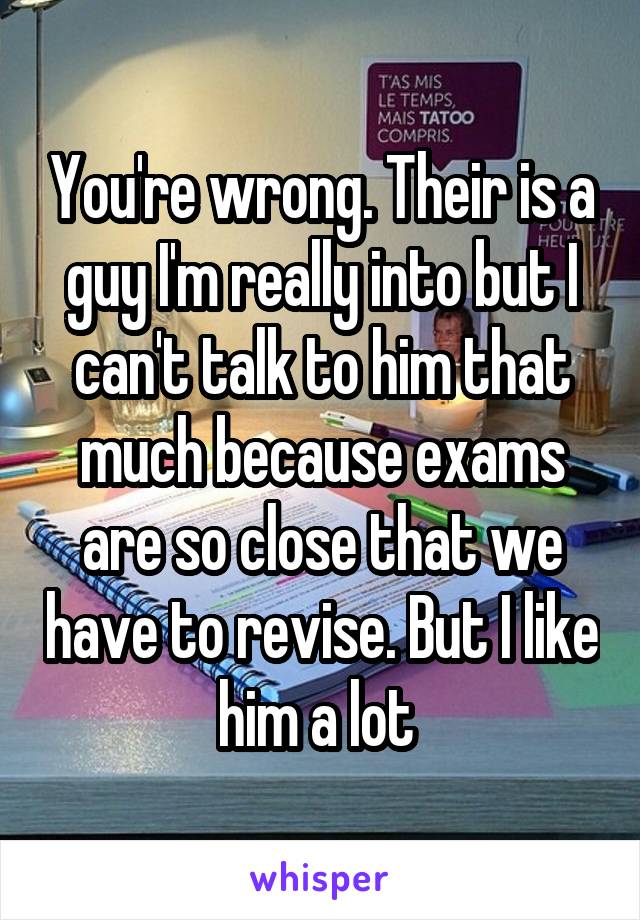 You're wrong. Their is a guy I'm really into but I can't talk to him that much because exams are so close that we have to revise. But I like him a lot 