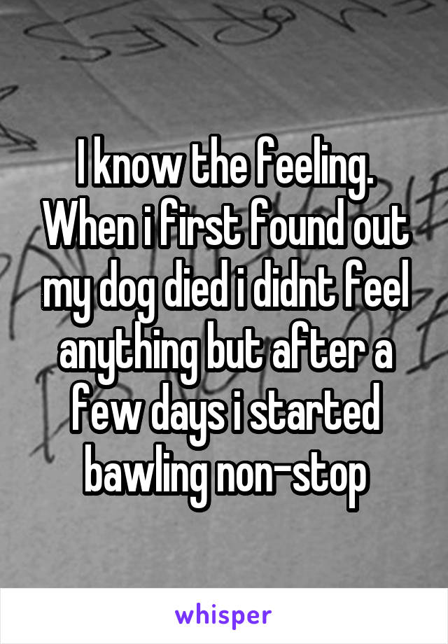 I know the feeling. When i first found out my dog died i didnt feel anything but after a few days i started bawling non-stop