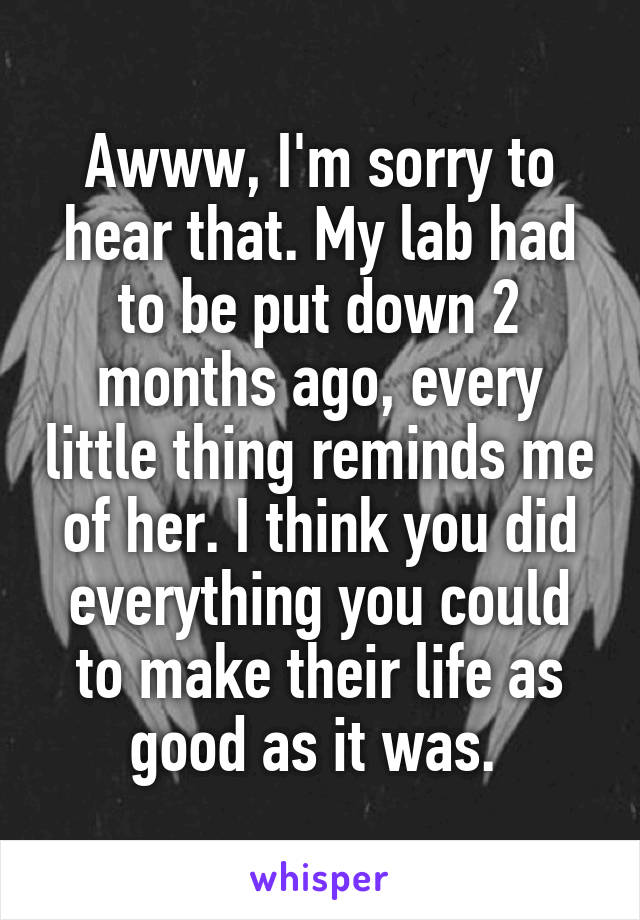 Awww, I'm sorry to hear that. My lab had to be put down 2 months ago, every little thing reminds me of her. I think you did everything you could to make their life as good as it was. 