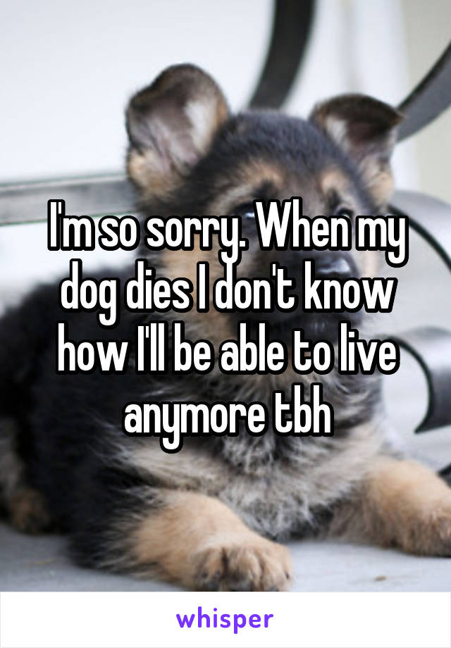 I'm so sorry. When my dog dies I don't know how I'll be able to live anymore tbh