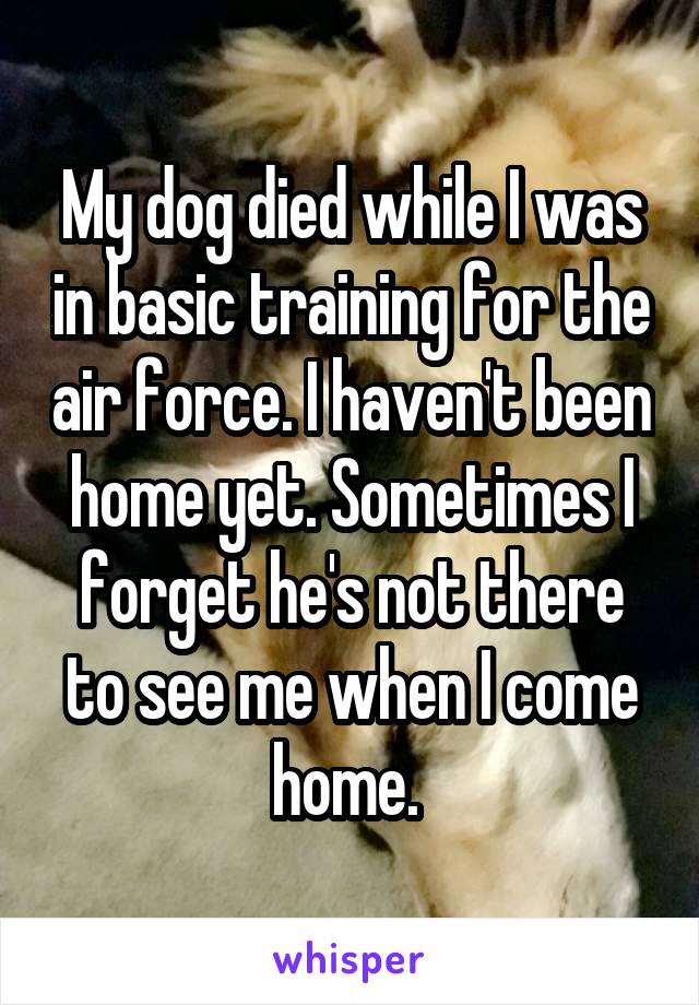 My dog died while I was in basic training for the air force. I haven't been home yet. Sometimes I forget he's not there to see me when I come home. 