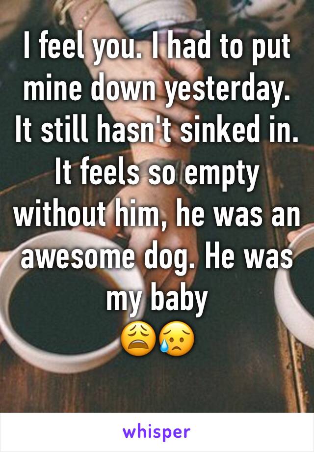 I feel you. I had to put mine down yesterday.
It still hasn't sinked in. It feels so empty without him, he was an awesome dog. He was my baby
😩😥