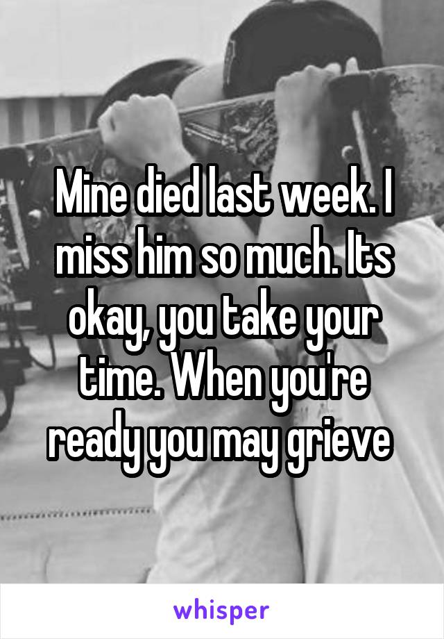 Mine died last week. I miss him so much. Its okay, you take your time. When you're ready you may grieve 