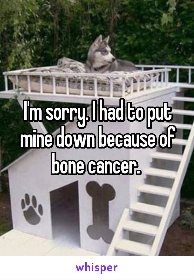 I'm sorry. I had to put mine down because of bone cancer. 