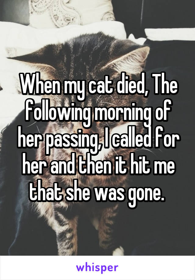 When my cat died, The following morning of her passing, I called for her and then it hit me that she was gone. 