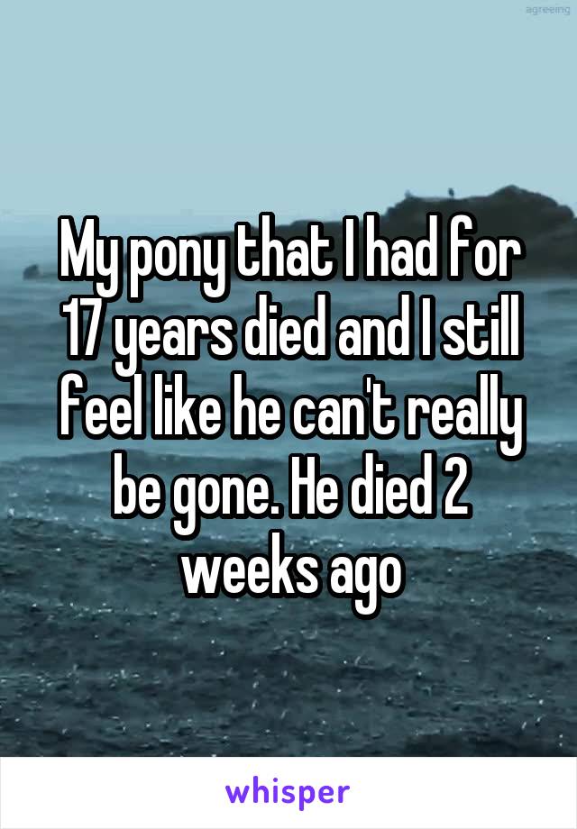 My pony that I had for 17 years died and I still feel like he can't really be gone. He died 2 weeks ago