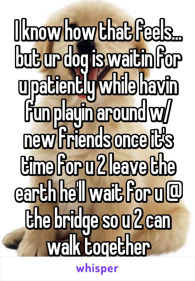 I know how that feels... but ur dog is waitin for u patiently while havin fun playin around w/ new friends once it's time for u 2 leave the earth he'll wait for u @ the bridge so u 2 can walk together