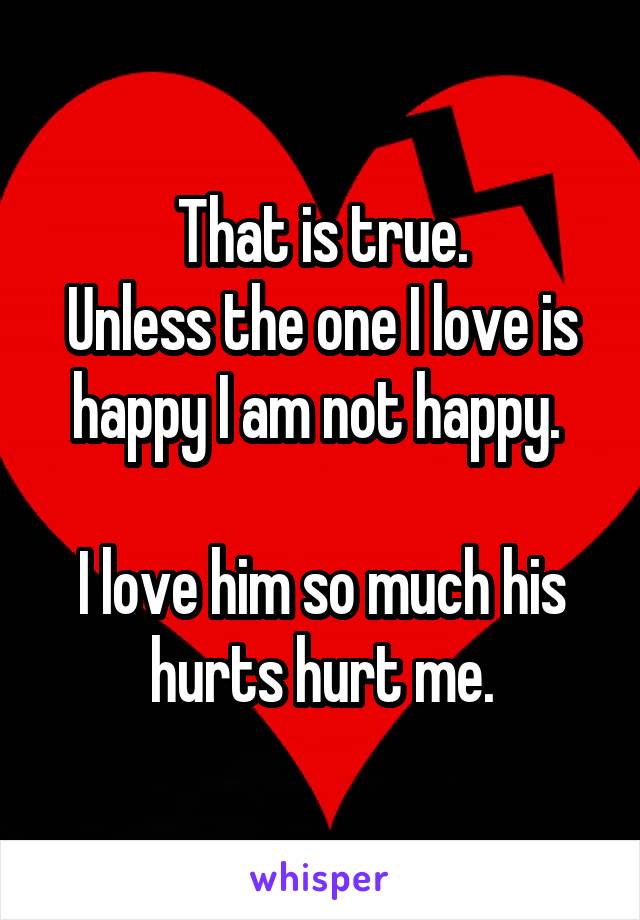 That is true.
Unless the one I love is happy I am not happy. 

I love him so much his hurts hurt me.