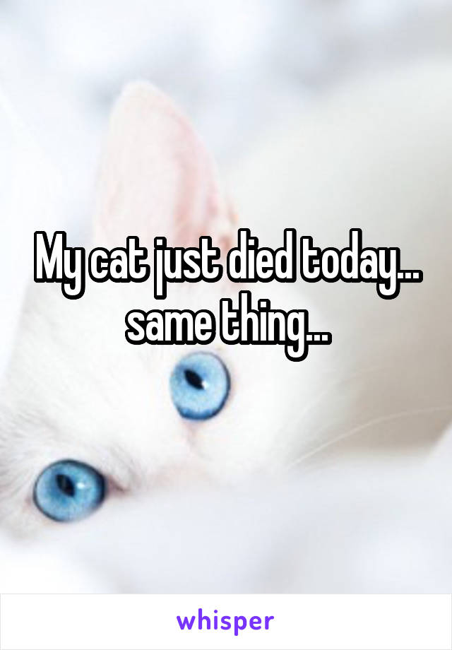 My cat just died today... same thing...
