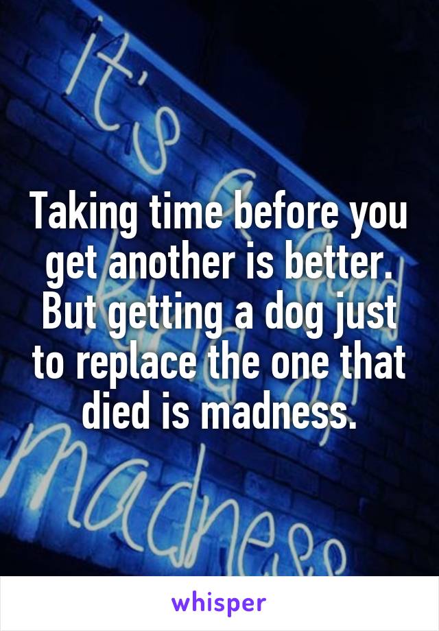 Taking time before you get another is better. But getting a dog just to replace the one that died is madness.