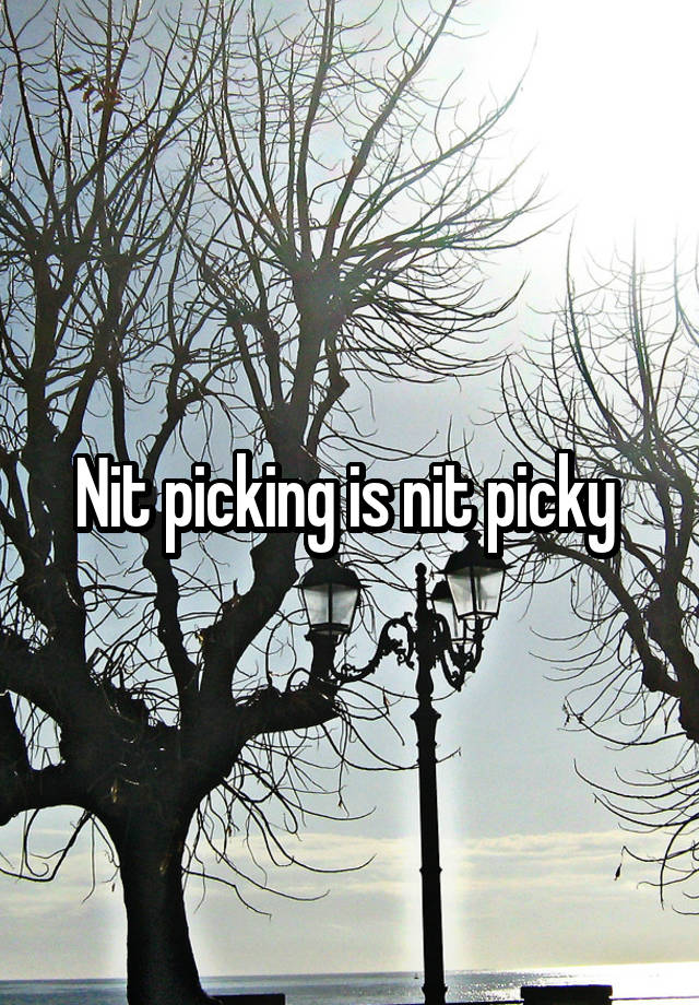 nit-picking-is-nit-picky